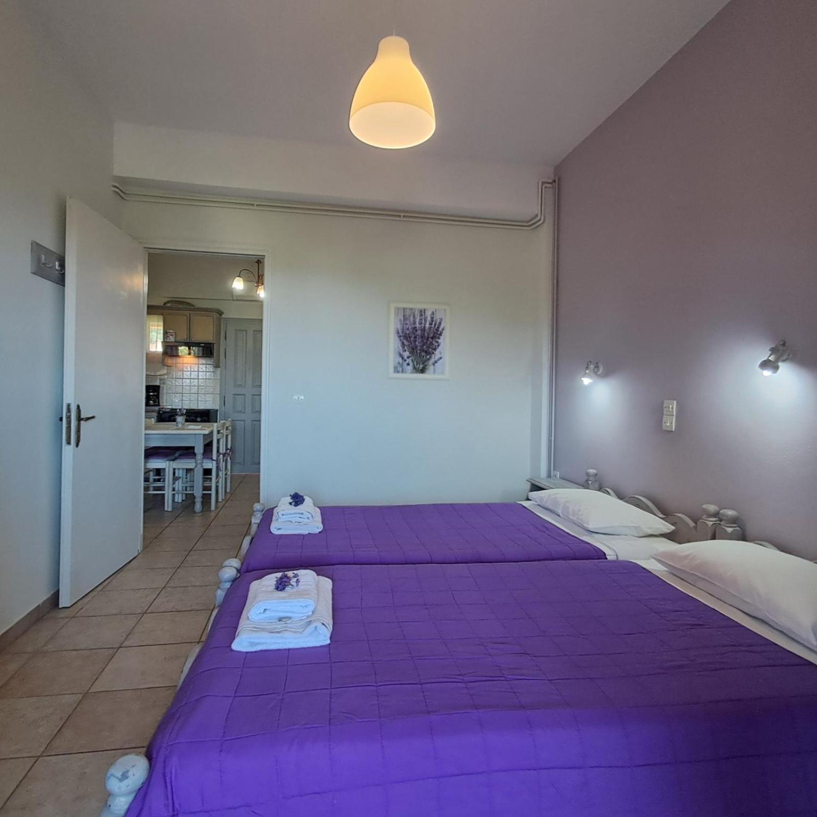 Olga'S Garden Apartments Almiros Beach Exterior photo