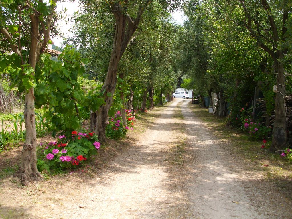 Olga'S Garden Apartments Almiros Beach Exterior photo